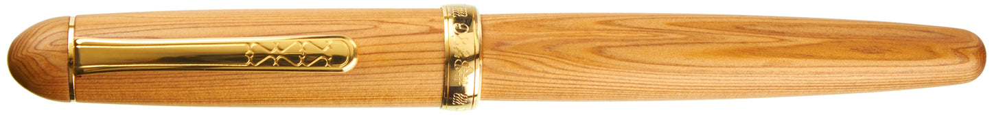 Platinum 3776 Century Yakusugi - nibs.com