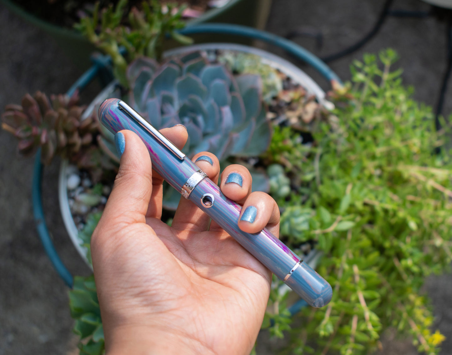 Narwhal Nautilus Grand Rhapsody Limited Edition Steel - nibs.com