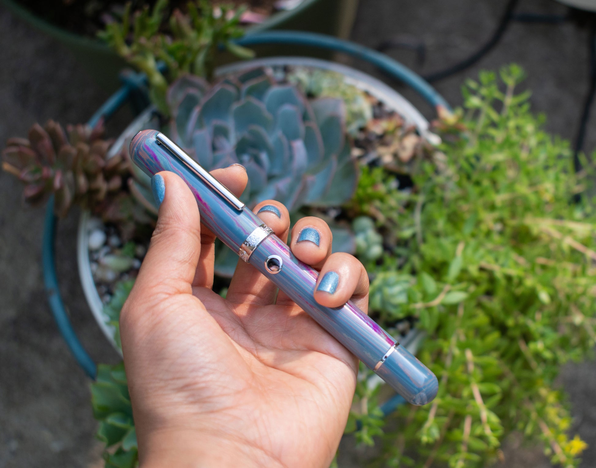 Narwhal Nautilus Grand Rhapsody Limited Edition Steel - nibs.com