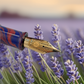 ASC Dreams Of Provence France Bespoke 2025 - Fountain Pen