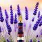 ASC Dreams Of Provence France Bespoke 2025 - Fountain Pen