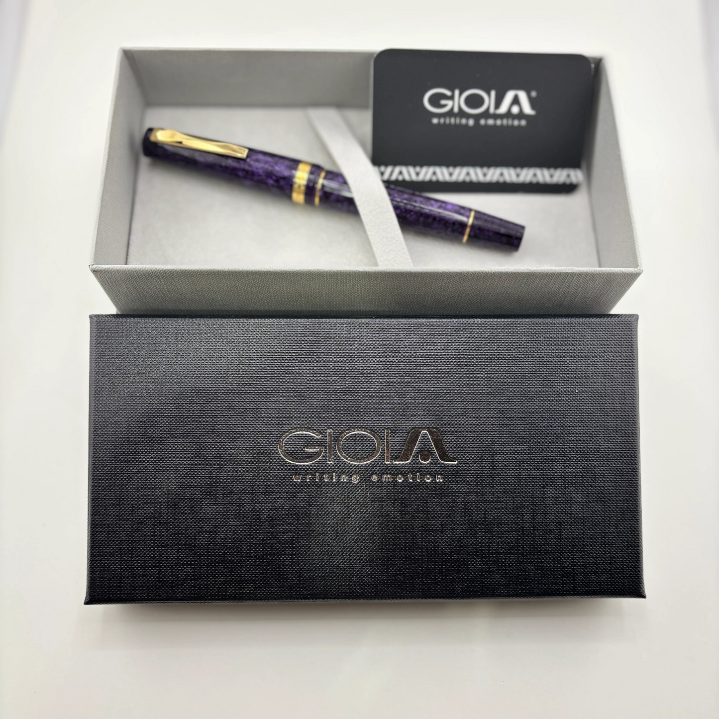 Gioia Metis 2 Purple Gold Fountain Pen