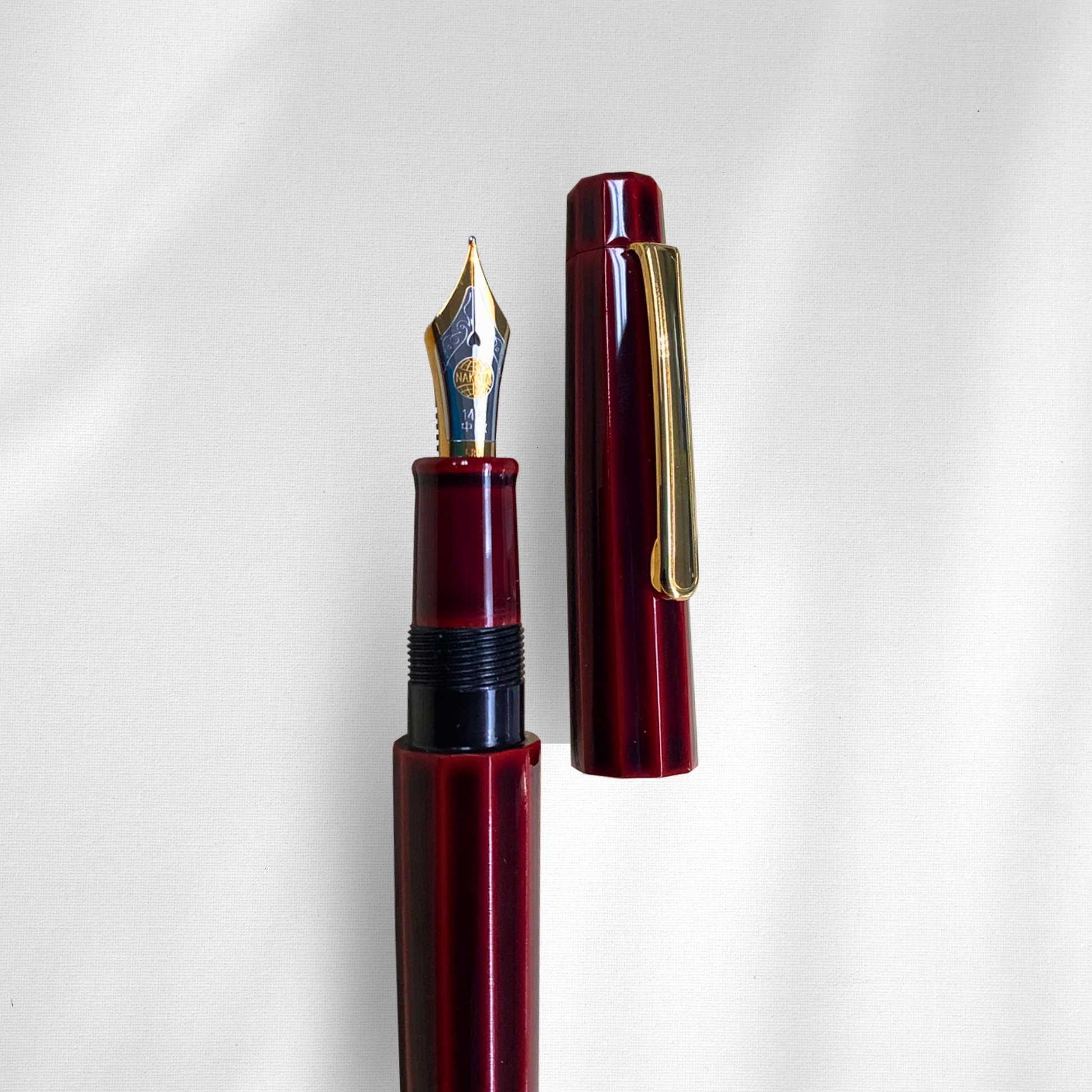 Nakaya Decapod ST Writer Aka Tamenuri Collection