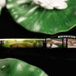 Visconti Homo Sapiens Lotus Garden - Fountain Pen