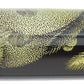 Namiki Yukari Royale Chinkin Cat - nibs.com