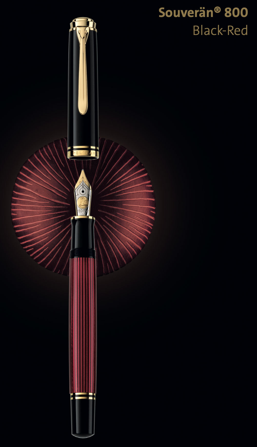 Pelikan Souverän M800 Black-Red - nibs.com