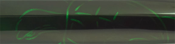 Nakaya 17mm Portable Cigar Chinese Pond Turtle - nibs.com