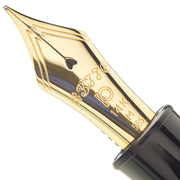 Bayou フランス語1枚 Platinum 3776 Century LE Fountain Pen - Oshino w Rhodium