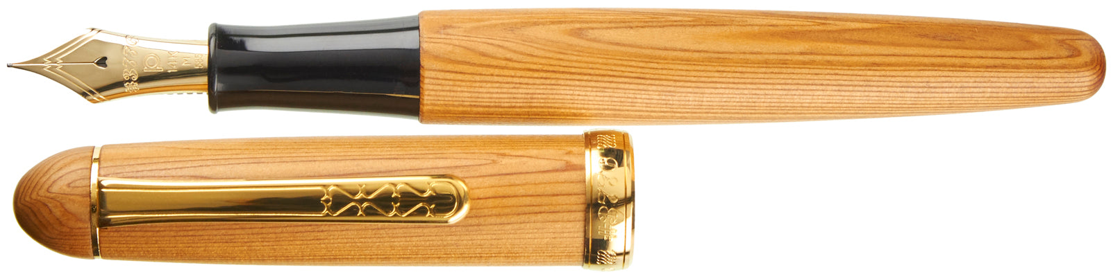 Platinum 3776 Century Yakusugi - nibs.com