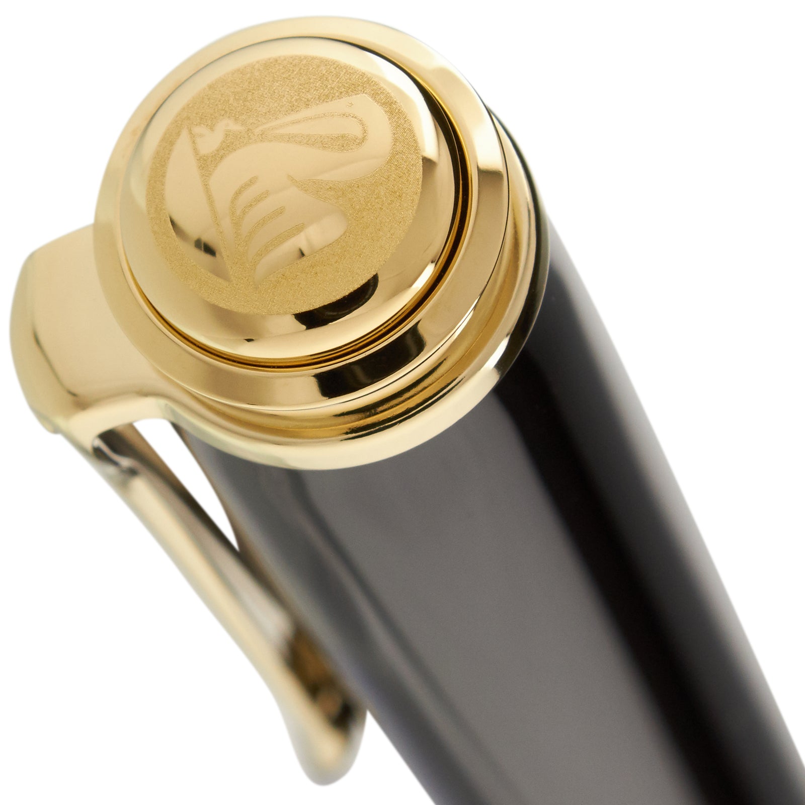 Pelikan Souverän M800 Green Stripe - nibs.com