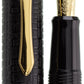 Pilot Ishime Black - nibs.com