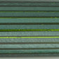 Pelikan Souverän M800 Green Stripe - nibs.com
